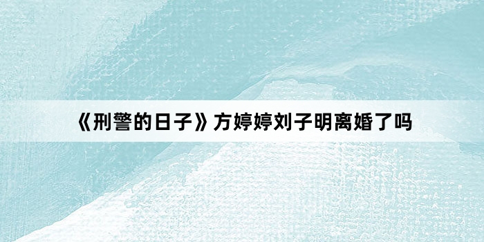 《刑警的日子》方婷婷刘子明离婚了吗