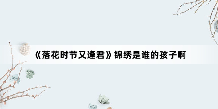 《落花时节又逢君》锦绣是谁的孩子啊