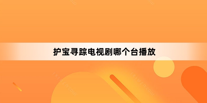 护宝寻踪电视剧哪个台播放