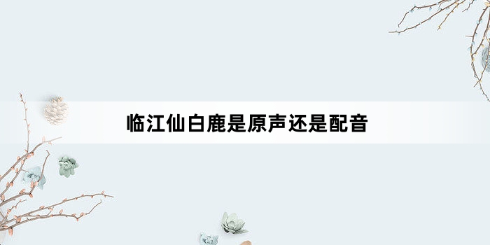 临江仙白鹿是原声还是配音