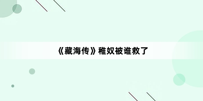 《藏海传》稚奴被谁救了