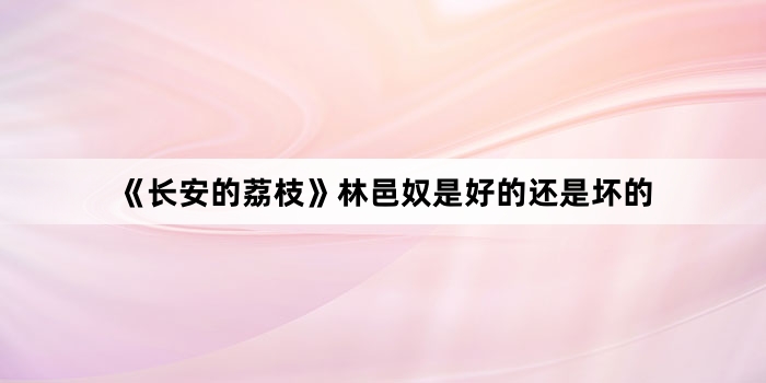 《长安的荔枝》林邑奴是好的还是坏的
