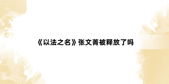 《以法之名》张文菁被释放了吗
