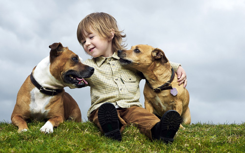 龙年盛姓五行带水和木的名字-姓名测试打分最准 龙年盛姓五行带水和木的名字-姓名测试打分最准