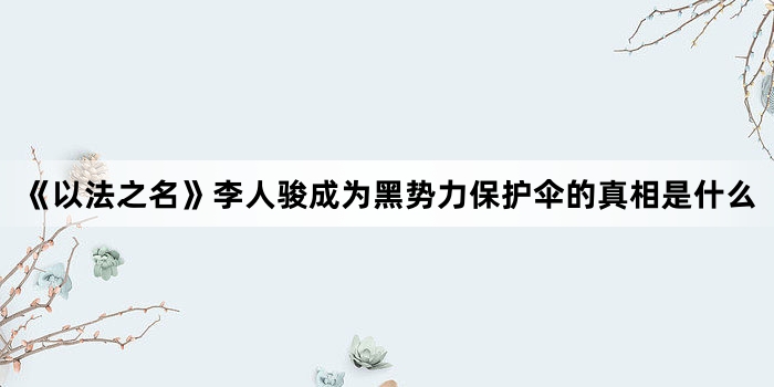 《以法之名》李人骏成为黑势力保护伞的真相是什么