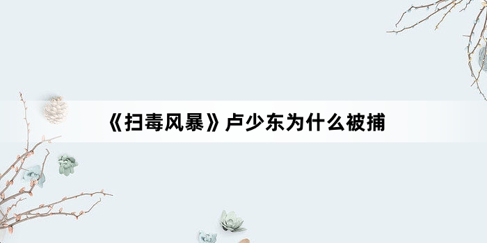 《扫毒风暴》卢少东为什么被捕