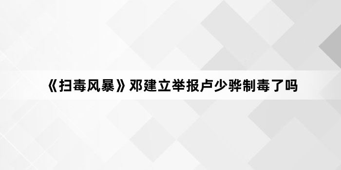 《扫毒风暴》邓建立举报卢少骅制毒了吗