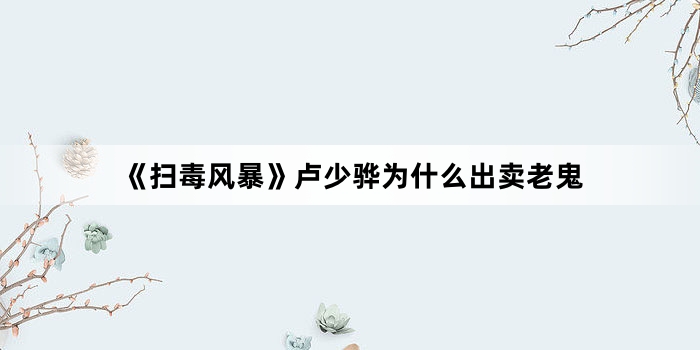 ��ɨ���籩��¬����Ϊʲô�����Ϲ�