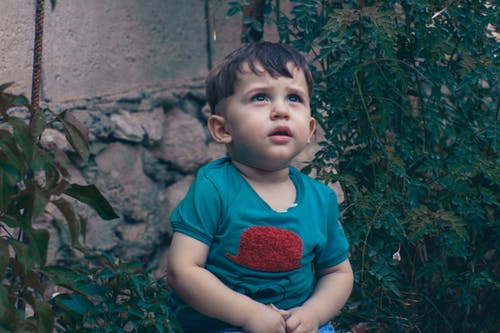 用棽字起名字寓意高姓男孩要简单洋气-名字打分测试 用棽字起名字寓意高姓男孩要简单洋气-名字打分测试