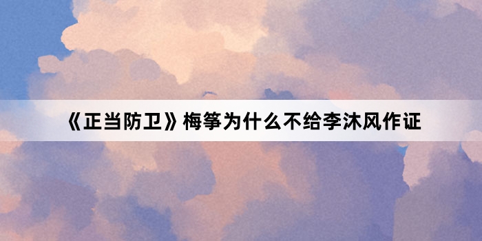 《正当防卫》梅筝为什么不给李沐风作证