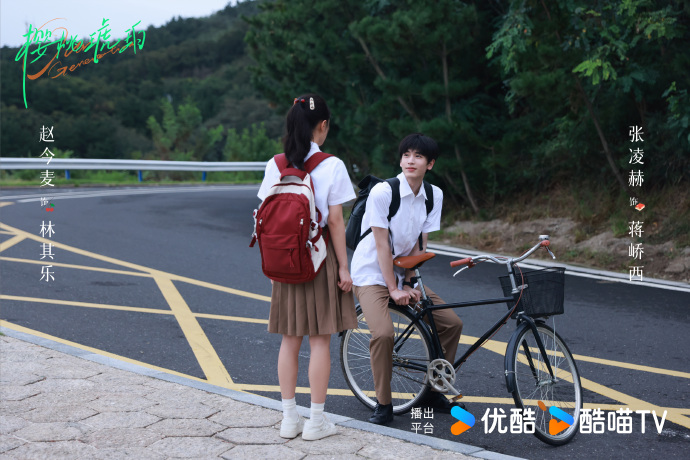 《樱桃琥珀电视剧》全集剧情分集介绍