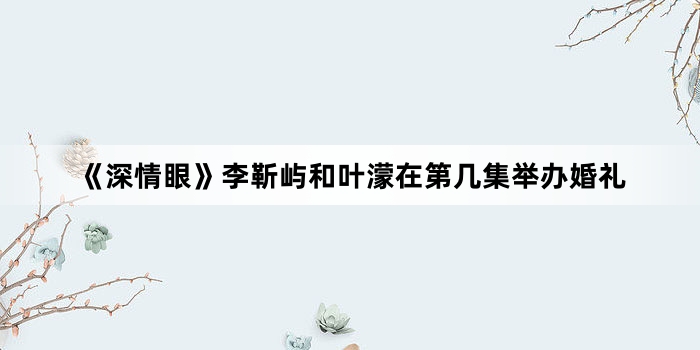 《深情眼》李靳屿和叶濛在第几集举办婚礼