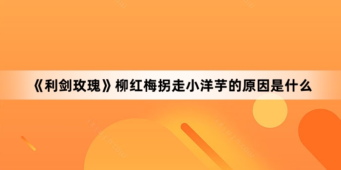 《利剑玫瑰》柳红梅拐走小洋芋的原因是什么