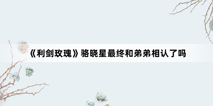 《利剑玫瑰》骆晓星最终和弟弟相认了吗