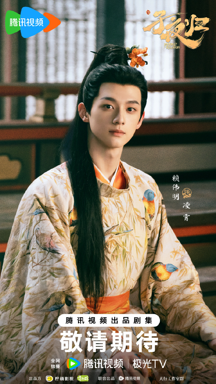 《子夜归》全集剧情分集介绍