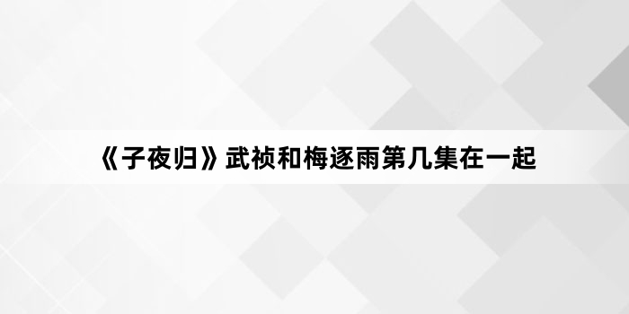 《子夜归》武祯和梅逐雨第几集在一起