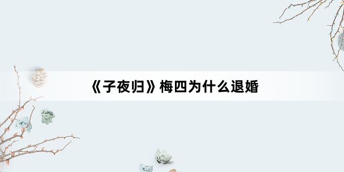 《子夜归》梅四为什么退婚