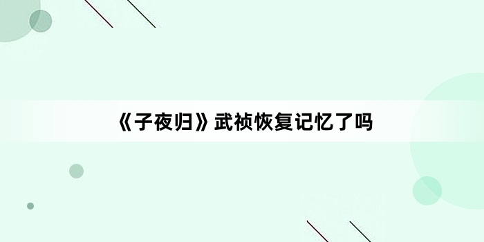 《子夜归》武祯恢复记忆了吗
