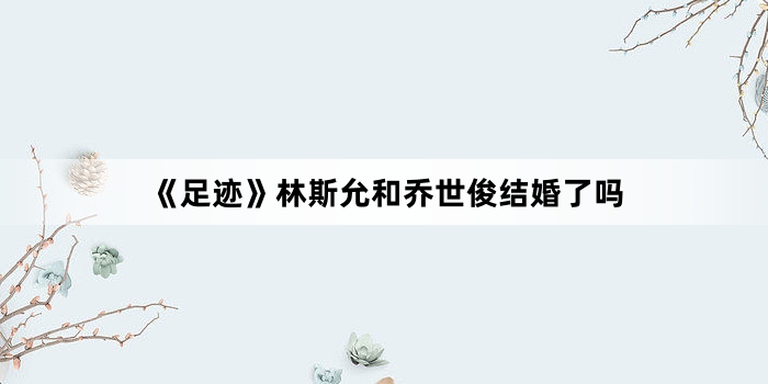 《足迹》林斯允和乔世俊结婚了吗