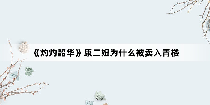 《灼灼韶华》康二妞为什么被卖入青楼