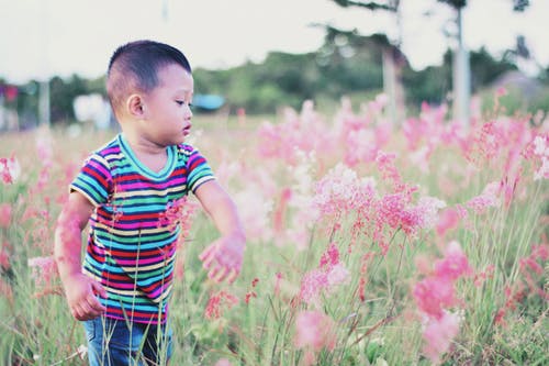 呐字和什么字搭配最好起名字-免费测名字打分 呐字和什么字搭配最好起名字-免费测名字打分