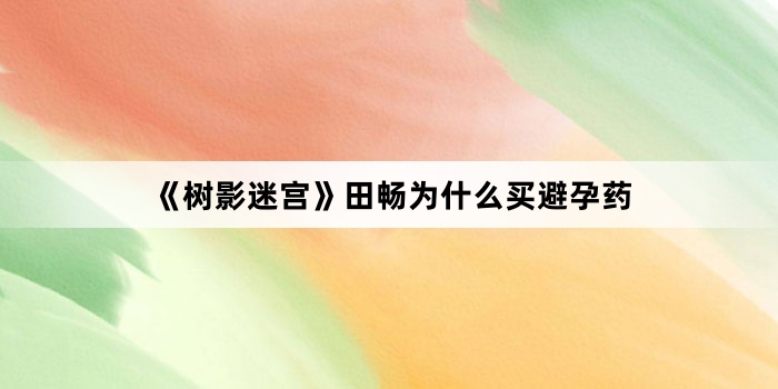 《树影迷宫》田畅为什么买避孕药