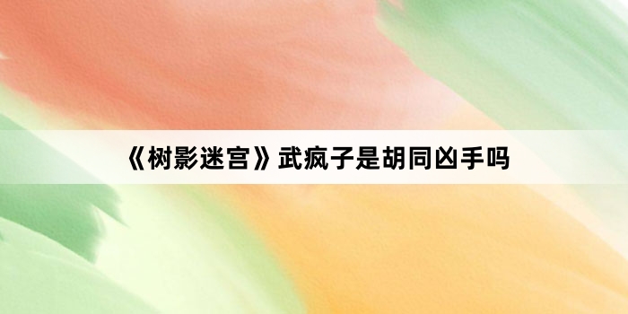 《树影迷宫》武疯子是胡同凶手吗