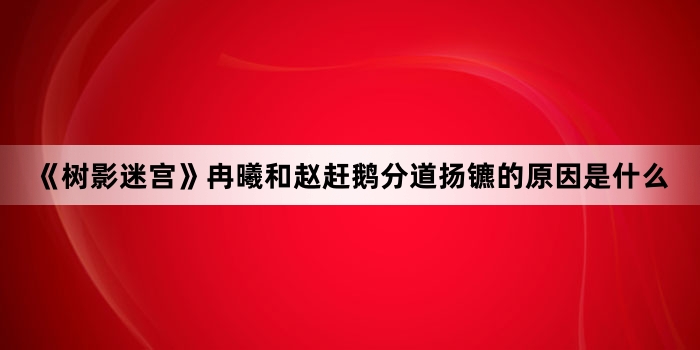《树影迷宫》冉曦和赵赶鹅分道扬镳的原因是什么