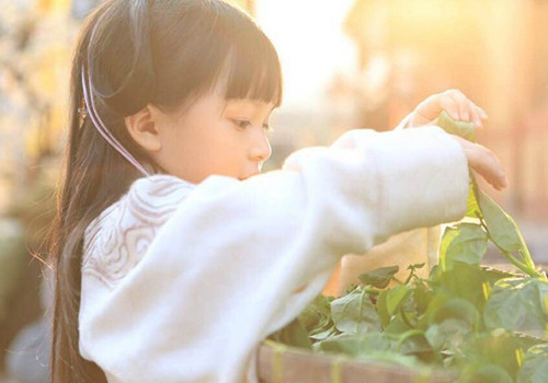 邓婧莹名字怎么样|2026年带婧字和莹字名字精选861个 邓婧莹名字怎么样|2026年带婧字和莹字名字精选861个