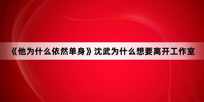 《他为什么依然单身》沈武为什么想要离开工作室