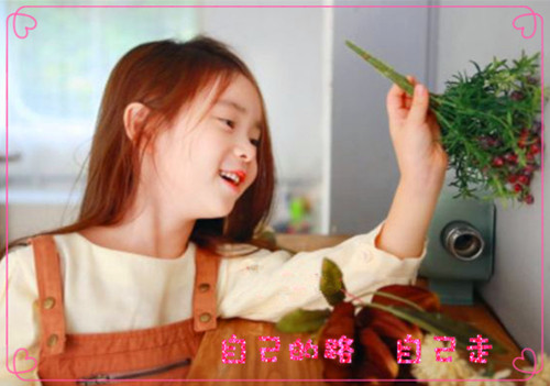 �����������_�����ֵ�����(��ѡ415��)