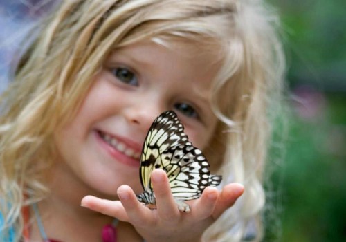 带洁的三个字_带洁字的名字(优选384个) 带洁的三个字_带洁字的名字(优选384个)