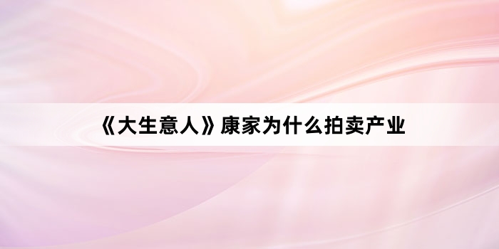 《大生意人》康家为什么拍卖产业