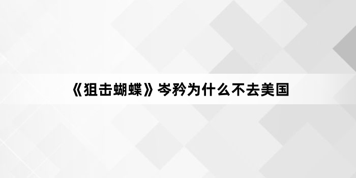 《狙击蝴蝶》岑矜为什么不去美国