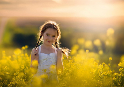取名字大全免费查询 取名字大全免费查询