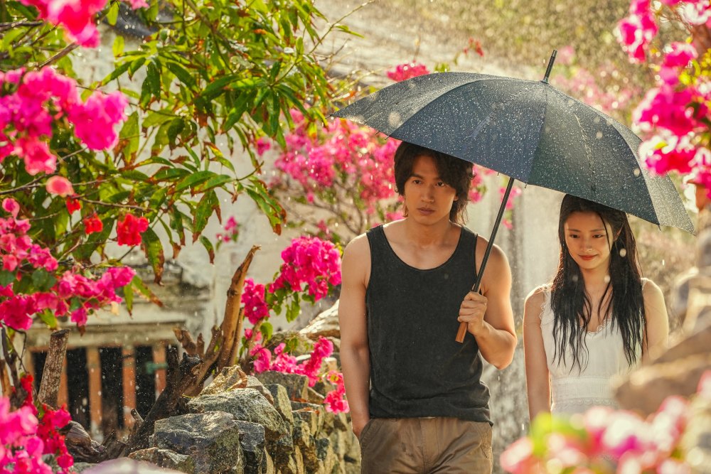 《夏花》全集剧情分集介绍