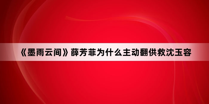 《墨雨云间》薛芳菲为什么主动翻供救沈玉容