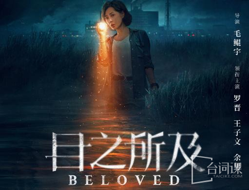 《目之所及》原著是什么