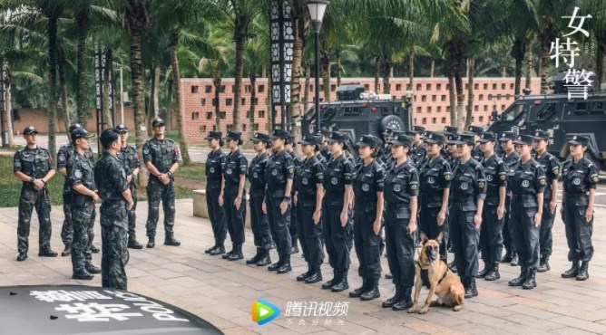 《女特警》全集剧情分集介绍