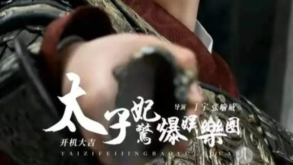 《太子妃惊爆娱乐圈》剧情介绍