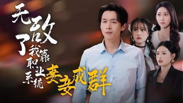 《无敌了我靠职业系统妻妾成群》剧情介绍