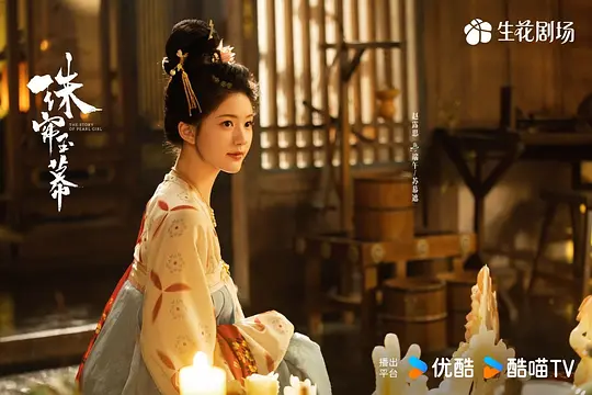 《珠帘玉幕》第13集分集剧情介绍