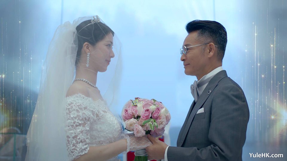 ���ߵ��ӽ�ĿѲ��2025 �����ذ��缯���ƴ���