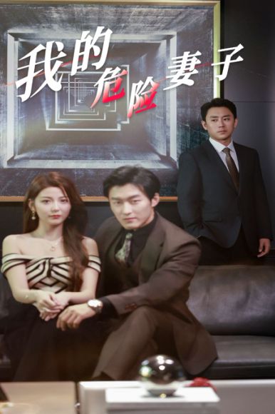 《我的危险妻子》剧情介绍
