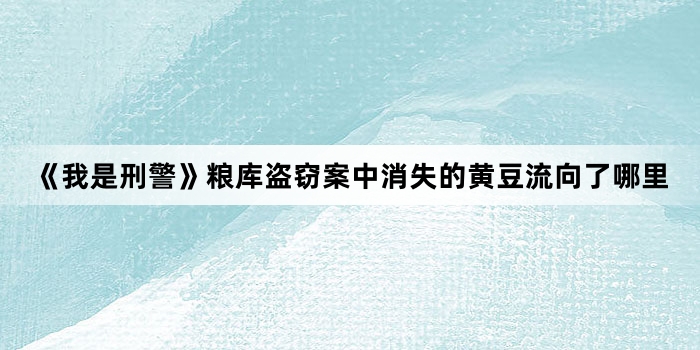 《我是刑警》粮库盗窃案中消失的黄豆流向了哪里