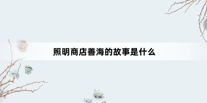 照明商店善海的故事是什么