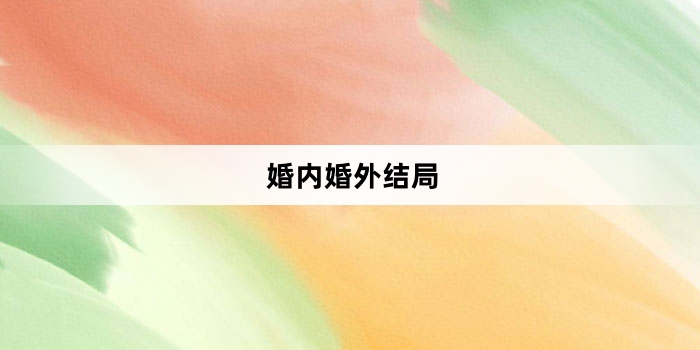 婚内婚外结局