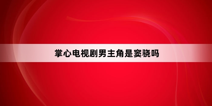 掌心电视剧男主角是窦骁吗