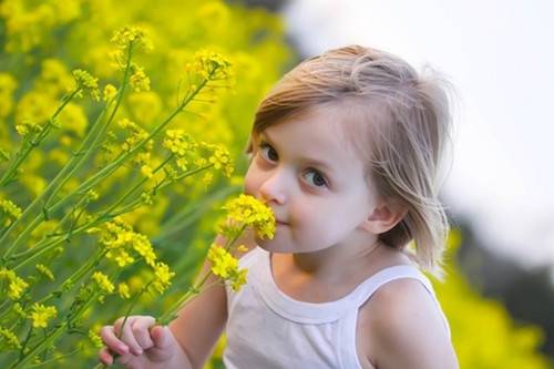 刘芷含名字怎么样|2025年带芷字和含字名字精选882个 刘芷含名字怎么样|2025年带芷字和含字名字精选882个