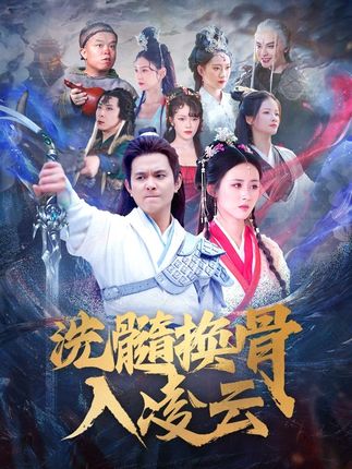 《洗髓换骨入凌云》剧情介绍